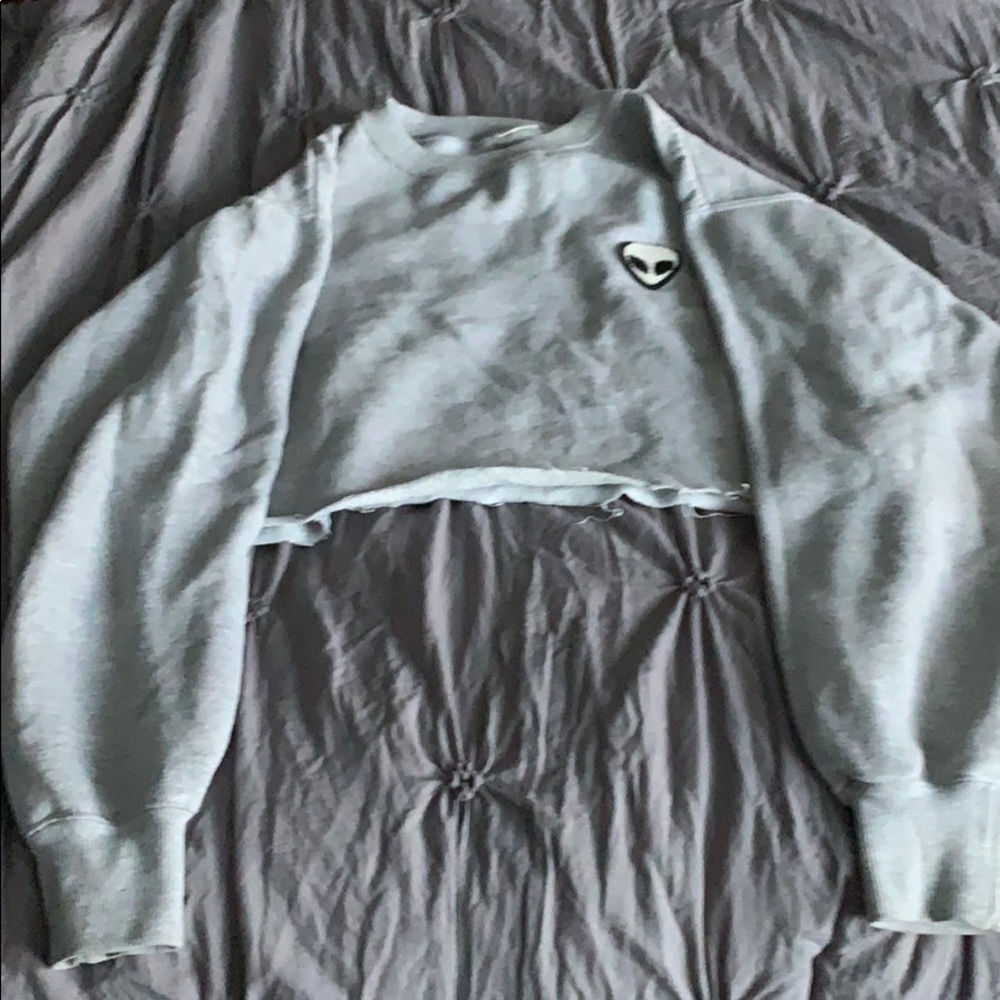Pacsun cropped sweatshirt
